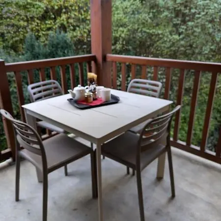 T2 Chaleureux St Lary Village